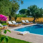 Zante Lagos Homes Treehouse And * Vougiaton