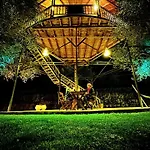 Zante Lagos Homes Treehouse And * Vougiaton