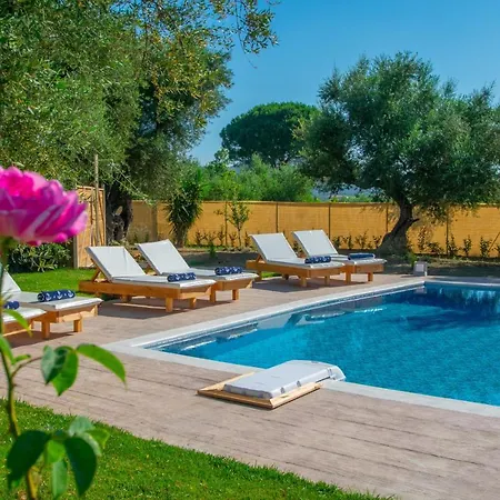 Zante Lagos Homes Treehouse And * Vougiaton