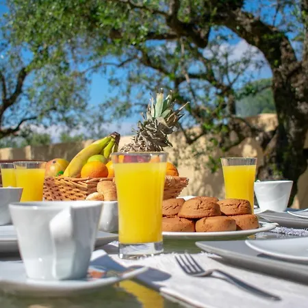 Zante Lagos Homes Treehouse And Villa *