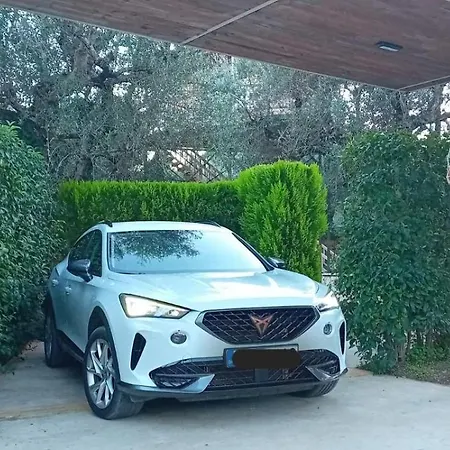 Villa Zante Lagos Homes Treehouse And Vougiaton