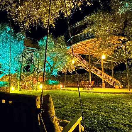 Zante Lagos Homes Treehouse And Vougiaton