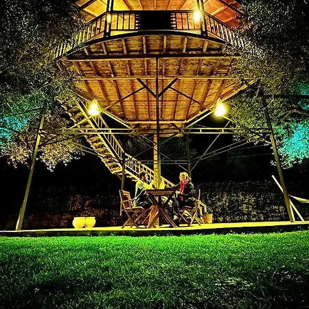 Zante Lagos Homes Treehouse And * Vougiaton