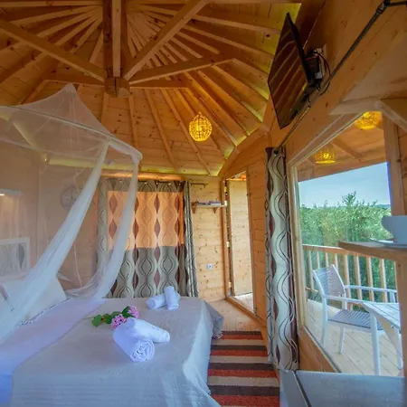 Villa Zante Lagos Homes Treehouse And Vougiaton