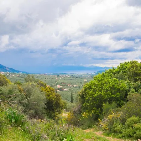 Zante Lagos Homes Treehouse And *