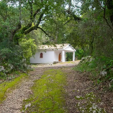 Villa Zante Lagos Homes Treehouse And