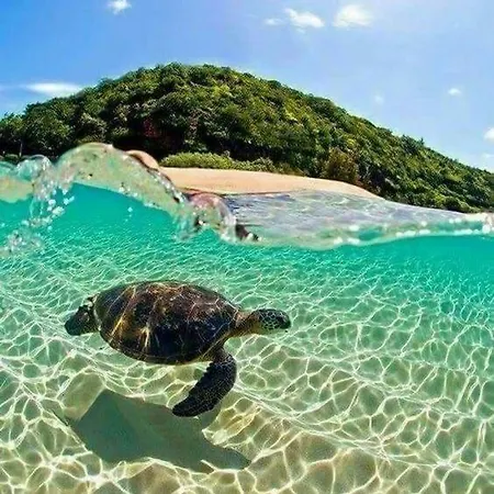 Zante Lagos Homes Treehouse And *